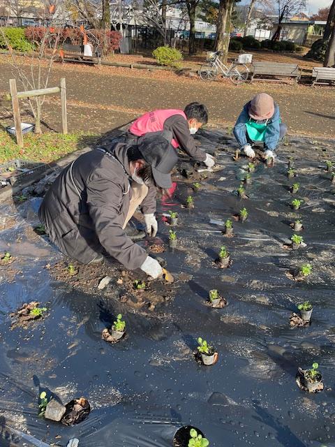 上田花壇植栽ボランティア③