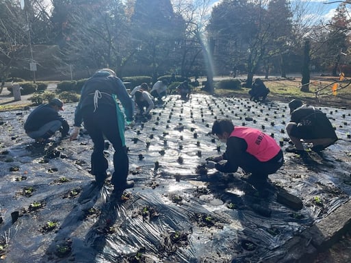 上田花壇植栽ボランティア➁