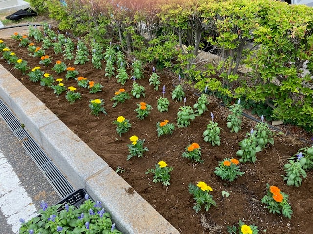 4image4