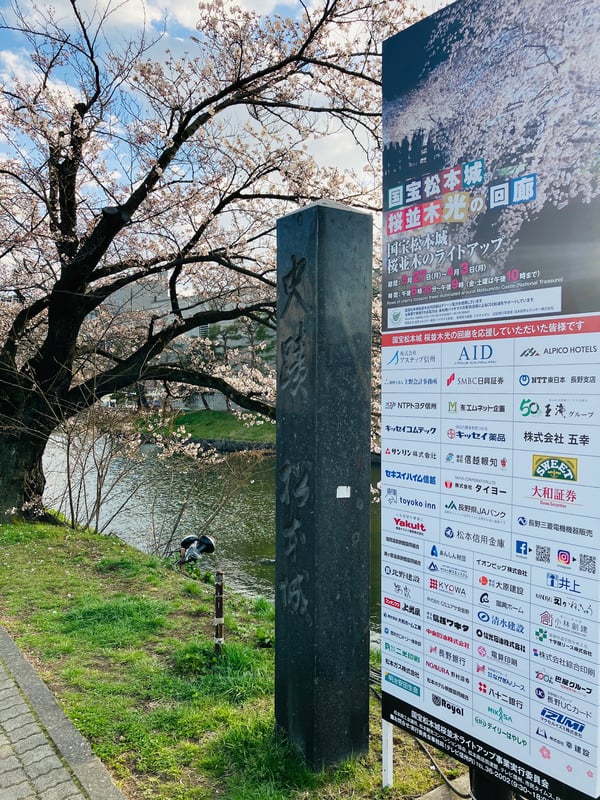 2023_松本城桜並木光の回廊