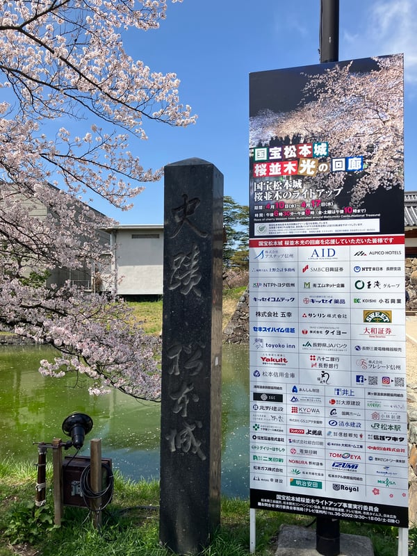2024_松本城桜並木光の回廊-2