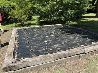 上田城10